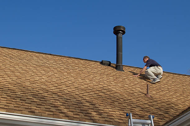 Best Roof Moss and Algae Removal  in Milton, GA